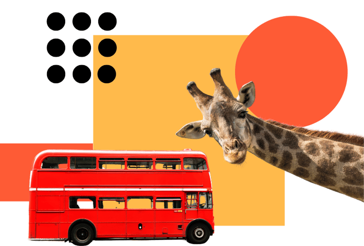 the-red-bus-and-giraffe-love-video