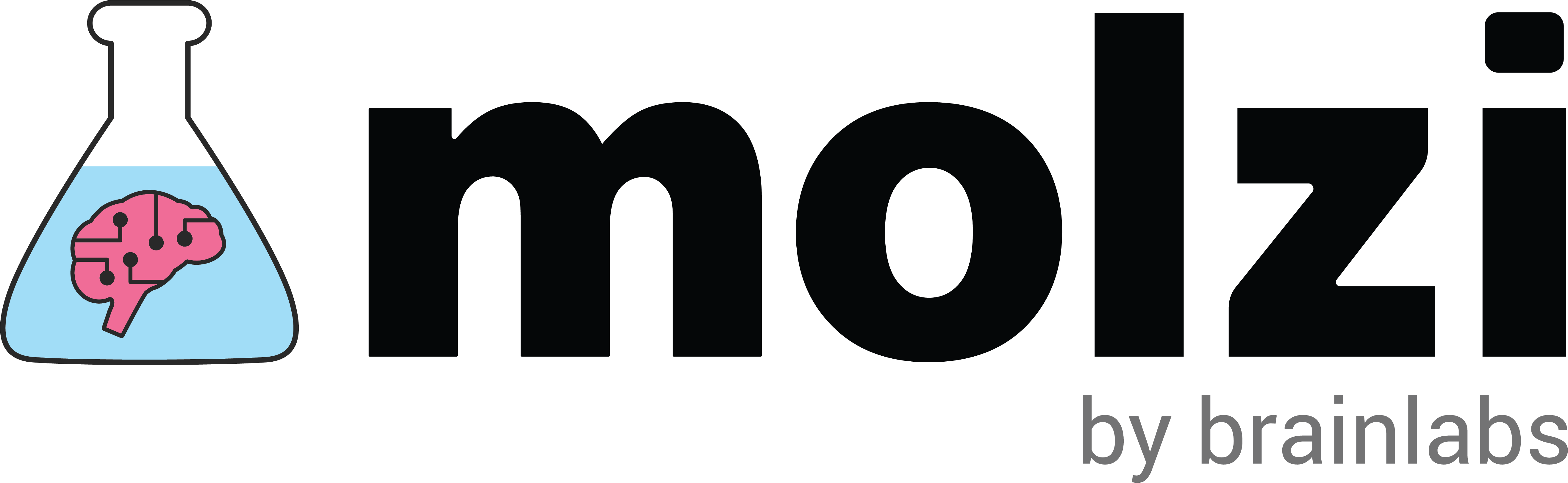 Molzi Logo Black